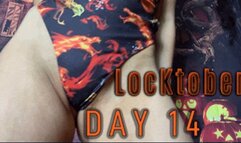 Chastity Challenge | 14 Days In (HD) WMV