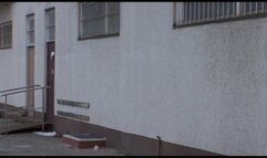 BLOND HOUSEWIFES DO IT BETTER