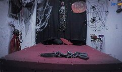 The Rabbit And The Devil - Clip 1 ## Newmfx 2023 ##