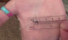 Riann Swallows Micro Men