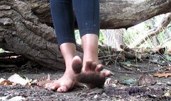Walking on the Earth barefoot soiled feet