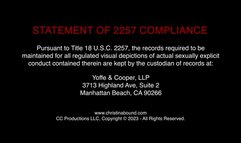 Wonder Woman VS ANT 3: The Clown Goes Down