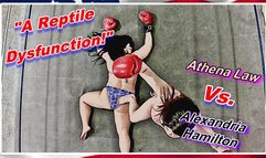 A Reptile Dysfunction! WMV