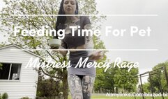 Feeding Time For Pet