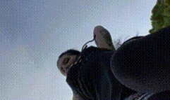 Human Ashtray Humiliation POV