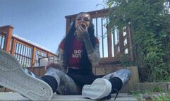 Feeding Time For Pet 3 Dirty Donuts