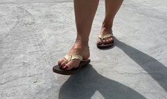 Cranking the 1997 Grand Marquis