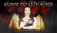 Slave to My Tits