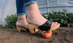 CC - Tomatoes crushing under scholl clogs