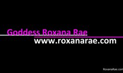 Roxy's Caged Cock Sucker