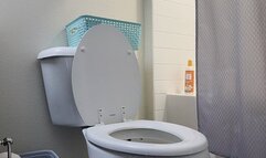 loud smelly black man toilet farts