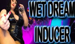 WET DREAM INDUCER