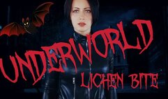 Underworld: Lichen bite