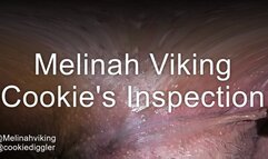 FILM - cookies - PUSSY - inspection