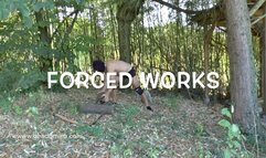 GEA DOMINA - HARD LABOUR (MOBILE)