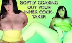 Softly Coaxing Out the Inner Cock Taker wmv