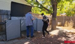 Minx tied and left in the shed (WMV Format)