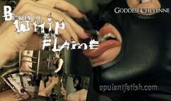Between the Whip and the Flame wmv