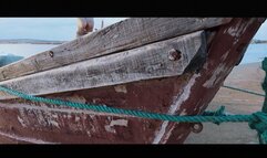 YT2156 Love of The Tracker