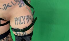 Fairy Kitten Body Tour