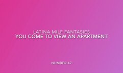 I am a Realtor trying to persuade you to take an apartment