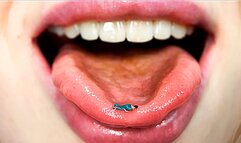 My Burp slave (CUSTOM)