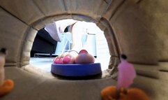 Story inside the box 360VR