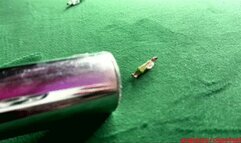 Sucking the guests after party wmv