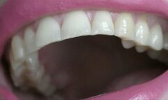 Mercilessly eating bears MP4 HD 720p