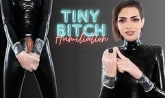 Tiny Bitch Humiliation