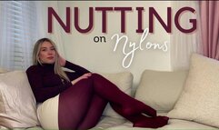 Nutting on Nylons