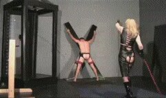 Bullwhipped By Ms Ella (MP4 HD)