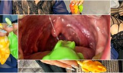 Colorful mice were eaten by a girl in a vintage dress