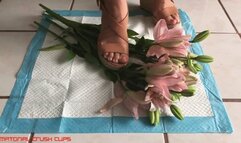 Tall goddes is crushing your flowers under 90kg