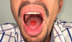 GIANT RICKO & THE CUTE AND TASTY LITTLE GUY