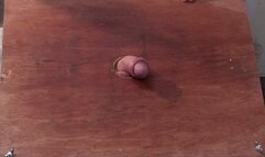 NEW, UGG BOOTS & UGG TRAINERS CAM 3 PART 2