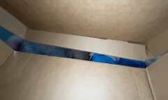 Shrunken, Cucked, & Dominated By Your Sexy Ex-Girlfriend Kitty Quinn & Her New BBC Lover Tempo (SD 720p WMV)