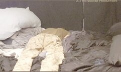 Wilde Flower massage with a happy ending