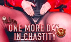 ONE MORE DAY IN CHASTITY