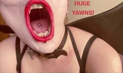 Dark Pixie Yawning Over and Over (STANDARD HD)