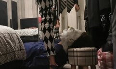 Halloween facesitting