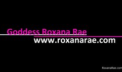 November Tiny Dick Tax 2023