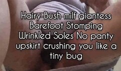 Avi Hairy Bush milf giantess Barefoot Stomping Wrinkled Soles No panty upskirt crushing you like a tiny bug