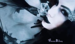 Spellbound by My silver bikini mp4