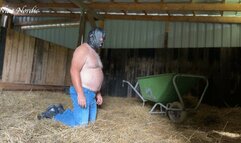 new chaste stable boy at work