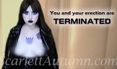 You and your erection are Terminated - WMV SD 480p