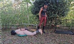 The Housebreaker-istress - Chapter SIX