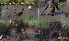 A Sunny Day in the Swamp, 2022-08-09