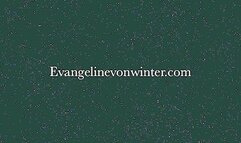 Ashley Fembot Affair