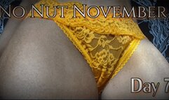 No Nut November | Week 1 Complete (HD) MP4